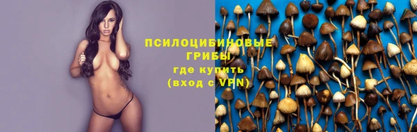 марки lsd Краснослободск