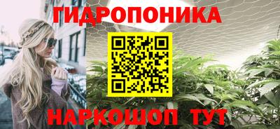 молекула духа Бийск
