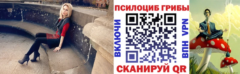 Галлюциногенные грибы Psilocybine cubensis  Дмитров 