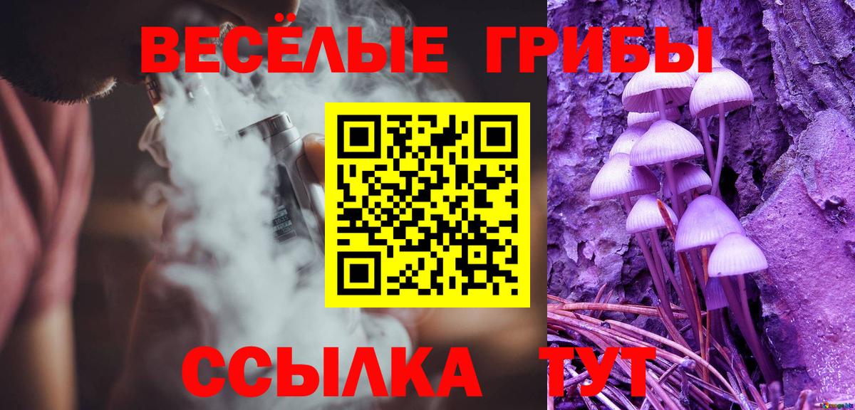 Галлюциногенные грибы MAGIC MUSHROOMS Дмитров