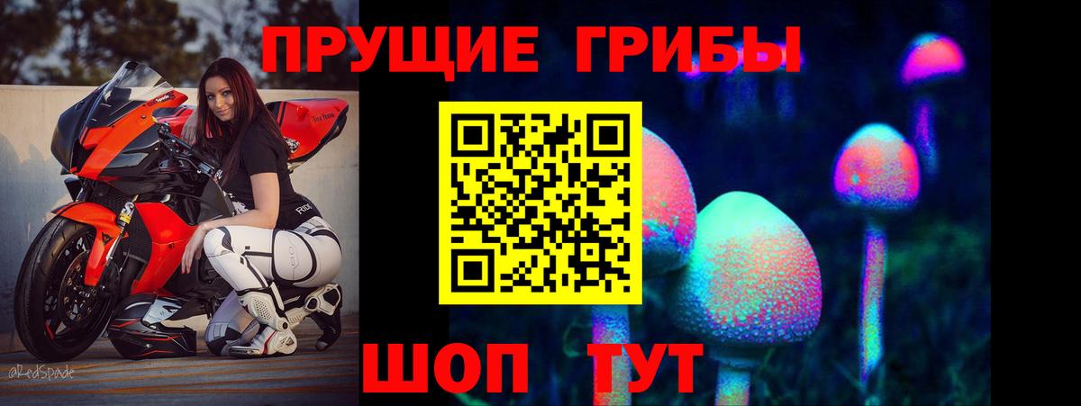 Галлюциногенные грибы Cubensis  Вход с VPN  Дмитров 